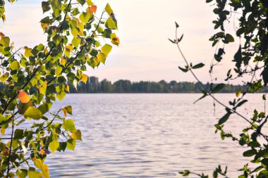 Gün batımında yapraklarla çerçevelenmiş göl