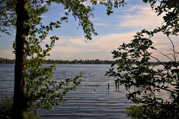 Lake Sunset Framed Fronds — Photo