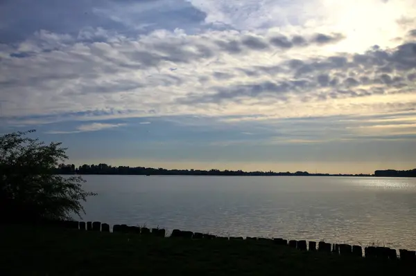 Orilla Lago Con Plantas Atardecer — Foto de Stock