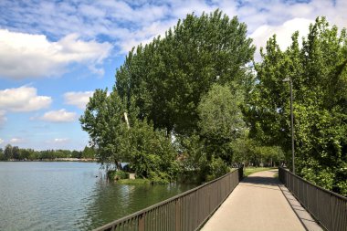 Güneşli bir günde, gölün kıyısındaki bir parkta köprü.