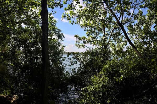 Lakeshore Park Vid Solnedgången Inramad Träd — Stockfoto