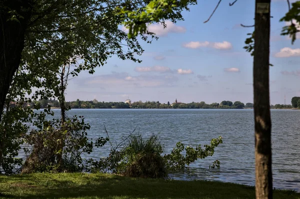 Lakeshore Een Park Bij Zonsondergang Omlijst Door Bomen — Stockfoto