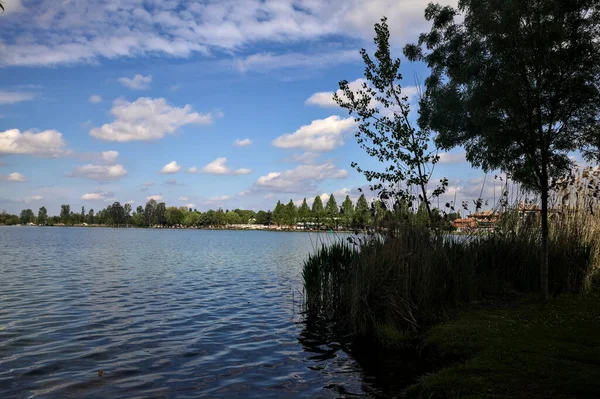 Lakeshore Parku Při Západu Slunce Rámované Stromy — Stock fotografie