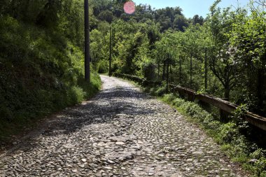 Güneşli bir günde, ormanın tepesinde asfalt bir yol.