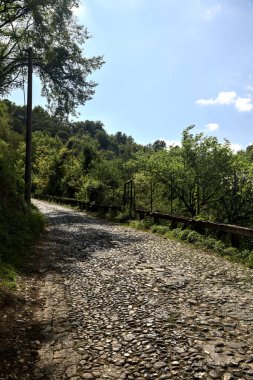Gökyüzü açık ve bulutsuz bir ormanda yokuş yukarı asfalt bir yol.