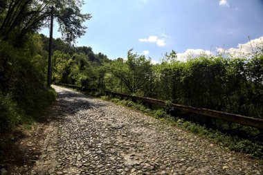 Gökyüzü açık ve bulutsuz bir ormanda yokuş yukarı asfalt bir yol.