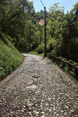 Gökyüzü açık ve bulutsuz bir ormanda yokuş yukarı asfalt bir yol.