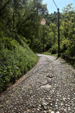 Gökyüzü açık ve bulutsuz bir ormanda yokuş yukarı asfalt bir yol.