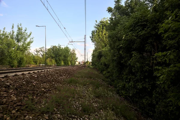 Gün Batımında Bir Parktaki Setin Üzerindeki Demiryolu Rayları — Stok fotoğraf