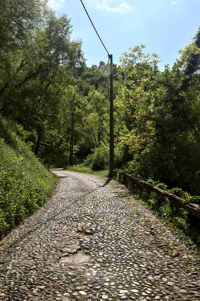 Bergauf Asphaltierte Straße Einem Wald Mit Klarem Himmel Mit Klar — Stockfoto