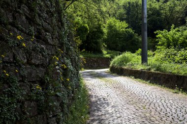 Güneşli bir günde, ormanın kenarında taş bir tuğla duvarla çevrili karahindibalarla dolu bir yol.