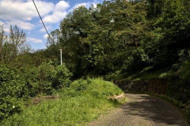 Güneşli bir günde, ormanın kenarında taş bir tuğla duvarla çevrili karahindibalarla dolu bir yol.