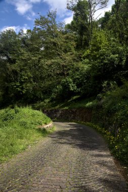 Güneşli bir günde, ormanın kenarında taş bir tuğla duvarla çevrili karahindibalarla dolu bir yol.