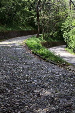 Yokuş yukarı asfalt bir yol ve yokuş aşağı asfalt bir yol arasındaki bir orman yolunda çatal