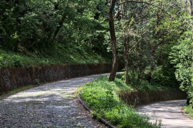 Yokuş yukarı asfalt bir yol ve yokuş aşağı asfalt bir yol arasındaki bir orman yolunda çatal
