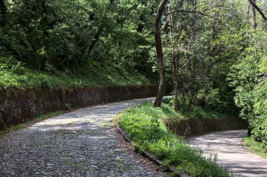 Yokuş yukarı asfalt bir yol ve yokuş aşağı asfalt bir yol arasındaki bir orman yolunda çatal