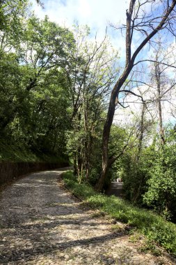 Yokuş yukarı asfalt bir yol ve yokuş aşağı asfalt bir yol arasındaki bir orman yolunda çatal