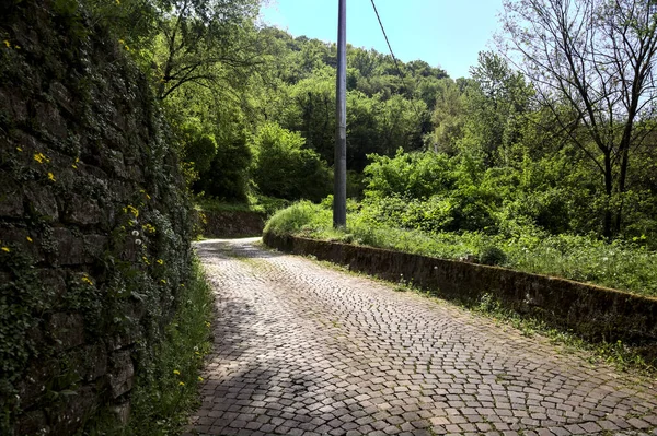 Asphaltierte Straße Mit Löwenzahn Rand Umgeben Von Einer Steinmauer Einem — Stockfoto