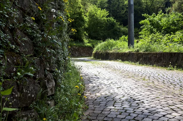 Strada Asfaltata Con Denti Leone Margini Delimitata Muro Mattoni Pietra — Foto Stock