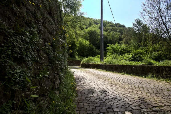 Route Pavée Avec Des Pissenlits Son Bord Bordée Par Mur — Photo