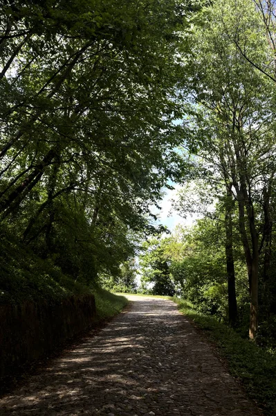 Doble Camino Pavimentado Bosque Con Cielo Despejado Con Nubes Fondo —  Fotos de Stock