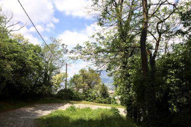Ormandaki kaldırımlı bir yolda eğilin. Arkasında bulutlar olan berrak bir gökyüzü.
