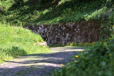 Güneşli bir günde, ormanın kenarında taş bir tuğla duvarla çevrili karahindibalarla dolu bir yol.