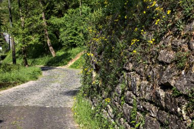 Güneşli bir günde, ormanın kenarında taş bir tuğla duvarla çevrili karahindibalarla dolu bir yol.