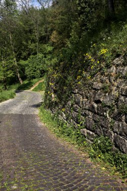 Güneşli bir günde, ormanın kenarında taş bir tuğla duvarla çevrili karahindibalarla dolu bir yol.