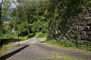Güneşli bir günde, ormanın kenarında taş bir tuğla duvarla çevrili karahindibalarla dolu bir yol.