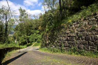 Güneşli bir günde, ormanın kenarında taş bir tuğla duvarla çevrili karahindibalarla dolu bir yol.