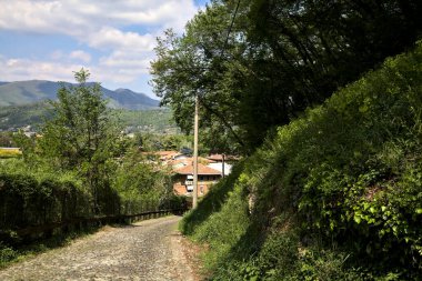 Güneşli bir günde, arka planda bir dağ sırtı ve bir kasaba olan bir ormanda Paved Yolu
