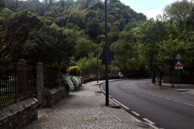 İtalyan kasabasının dışındaki bir yerleşim bölgesinde ağaçlarla çevrili bir yol.