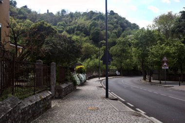 İtalyan kasabasının dışındaki bir yerleşim bölgesinde ağaçlarla çevrili bir yol.
