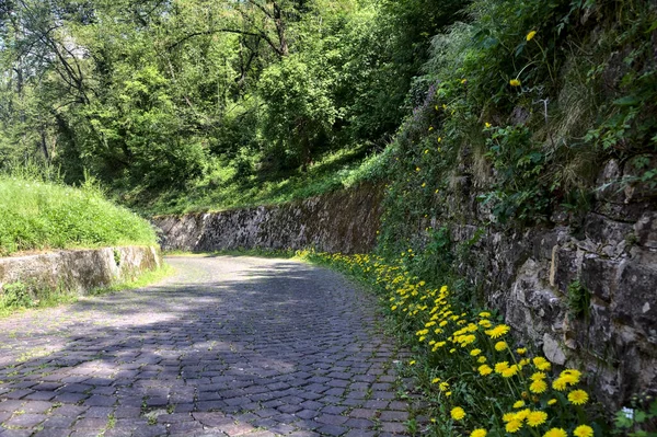 Δρόμος Στρωμένος Πικραλίδες Στην Άκρη Του Που Συνορεύει Πέτρινο Τοίχο — Φωτογραφία Αρχείου