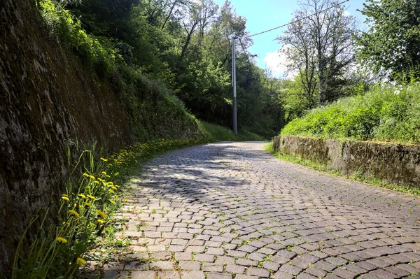 日当たりの良い日に森の中の石レンガの壁に囲まれた端にタンポポで舗装された道路 — ストック写真