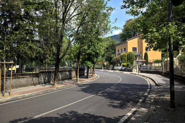 Estrada Delimitada Por Árvores Uma Área Residencial Periferia Uma Cidade — Fotografia de Stock