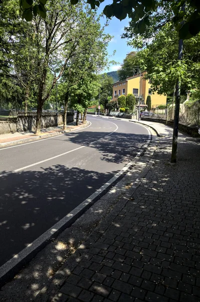 Route Bordée Arbres Dans Quartier Résidentiel Périphérie Une Ville Italienne — Photo