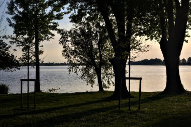 Gün batımında gölün kıyısında ıssız genç bir ağaç.