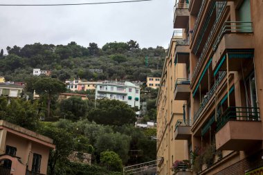 Modern bir konut binasının ön cephesi tarafından çerçevelenmiş ağaçlarla dolu bir uçurumda evler.