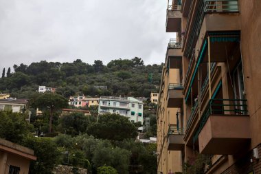 Modern bir konut binasının ön cephesi tarafından çerçevelenmiş ağaçlarla dolu bir uçurumda evler.