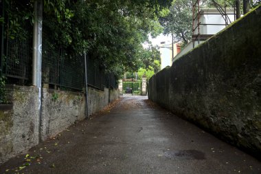 Beton duvarlar ve ağaçlarla çevrili bir yan yol.