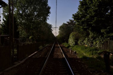 Gün batımında bir korulukta tren yolu.