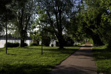 Gün batımında gölün kıyısındaki bir parkta patika.