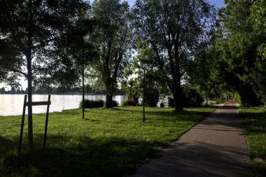 Gün batımında gölün kıyısındaki bir parkta patika.