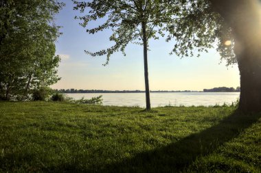 Gün batımında bir parkta Lakeshore
