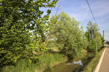 Ağaçlarla çevrili bir köy yolu ve güneşli bir günde bir dere.