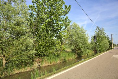 Ağaçlarla çevrili bir köy yolu ve güneşli bir günde bir dere.