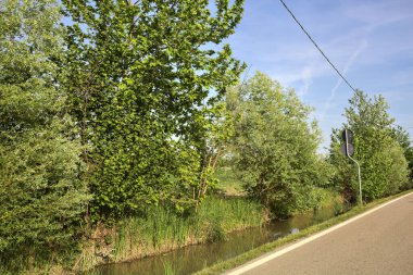 Ağaçlarla çevrili bir köy yolu ve güneşli bir günde bir dere.