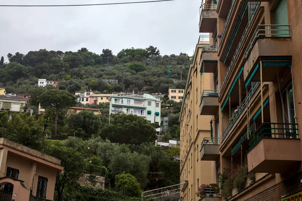 Modern bir konut binasının ön cephesi tarafından çerçevelenmiş ağaçlarla dolu bir uçurumda evler.